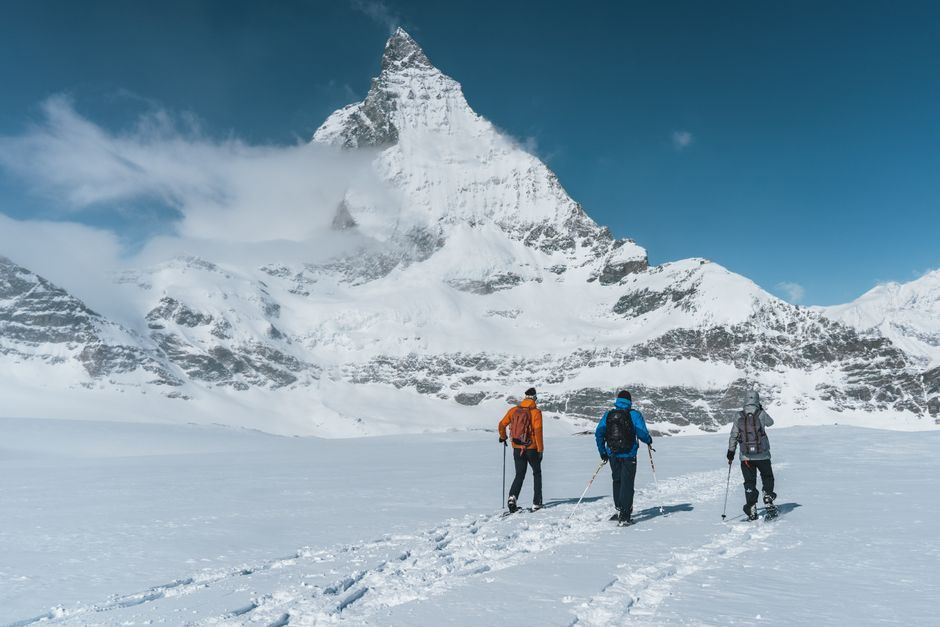 carbon vs aluminum trekking poles buying guide