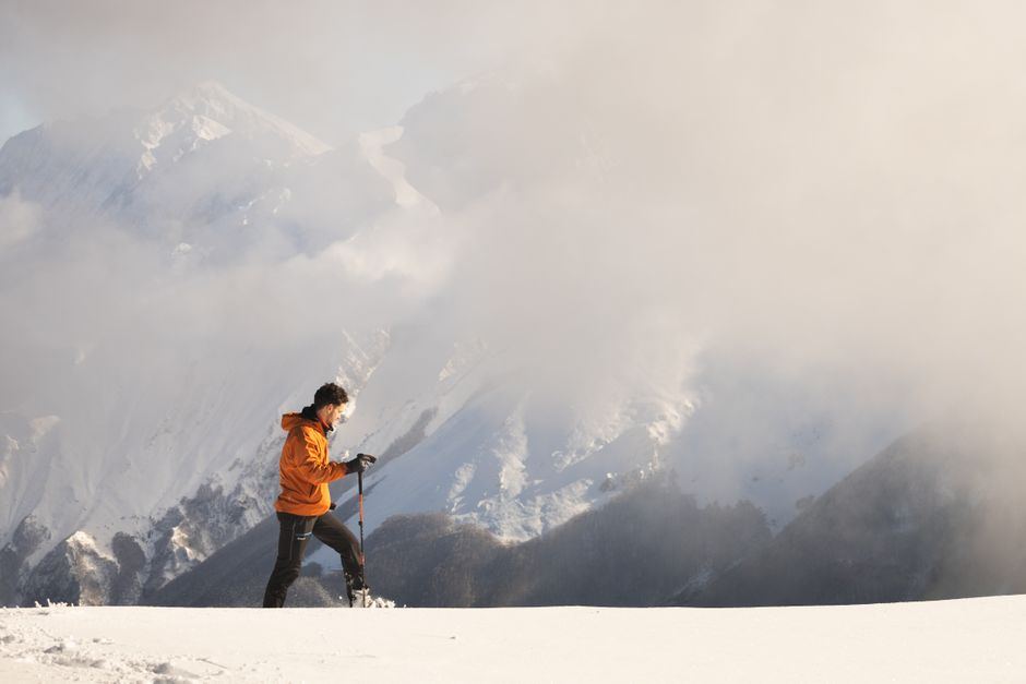 trekking poles for winter hiking and snowshoeing buying guide